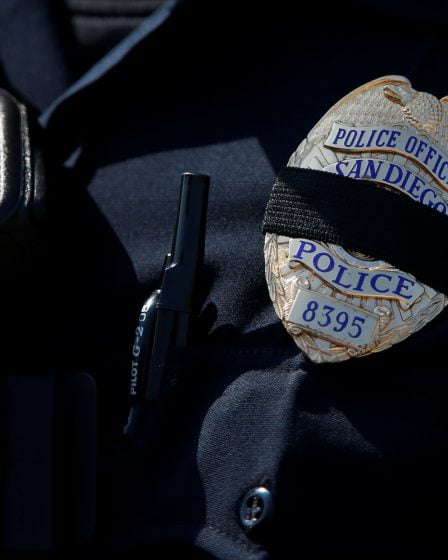 Un Norvégien accusé de menaces contre la police aux États-Unis 26 Un Norvégien accusé de menaces contre la police aux États-Unis - 25