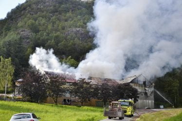 300 porcs sont morts dans un incendie de grange à Rogaland - 18