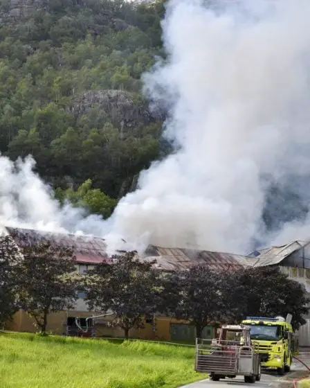 300 porcs sont morts dans un incendie de grange à Rogaland 25 300 porcs sont morts dans un incendie de grange à Rogaland - 24