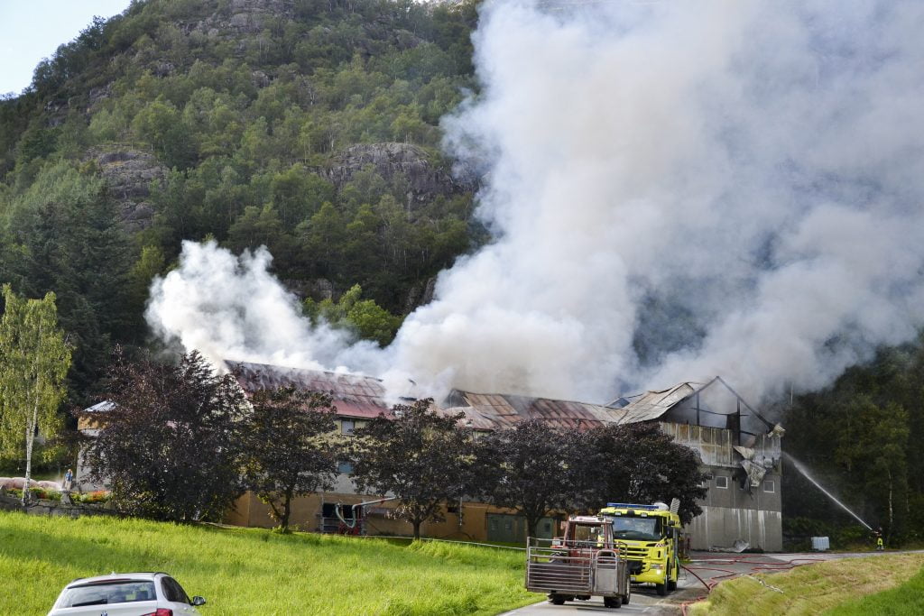 300 porcs sont morts dans un incendie de grange à Rogaland 4 300 porcs sont morts dans un incendie de grange à Rogaland - 3