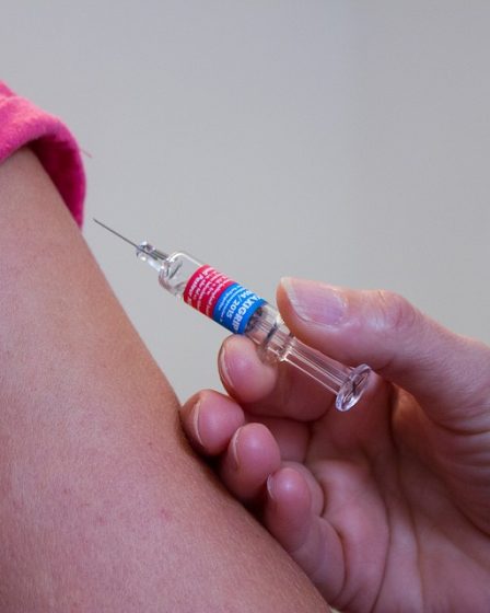 Épidémie de grippe probable à Noël - 16