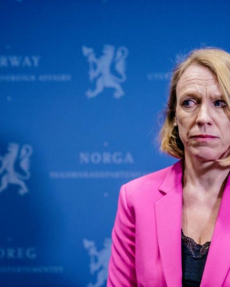 Le ministre norvégien des Affaires étrangères Huitfeldt pense que la situation en Ukraine semble sombre 9 Le ministre norvégien des Affaires étrangères Huitfeldt pense que la situation en Ukraine semble sombre - 8