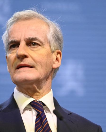 Le Premier ministre Støre menace de retenir les fonds de l'EEE aux pays qui violent les principes démocratiques - 10