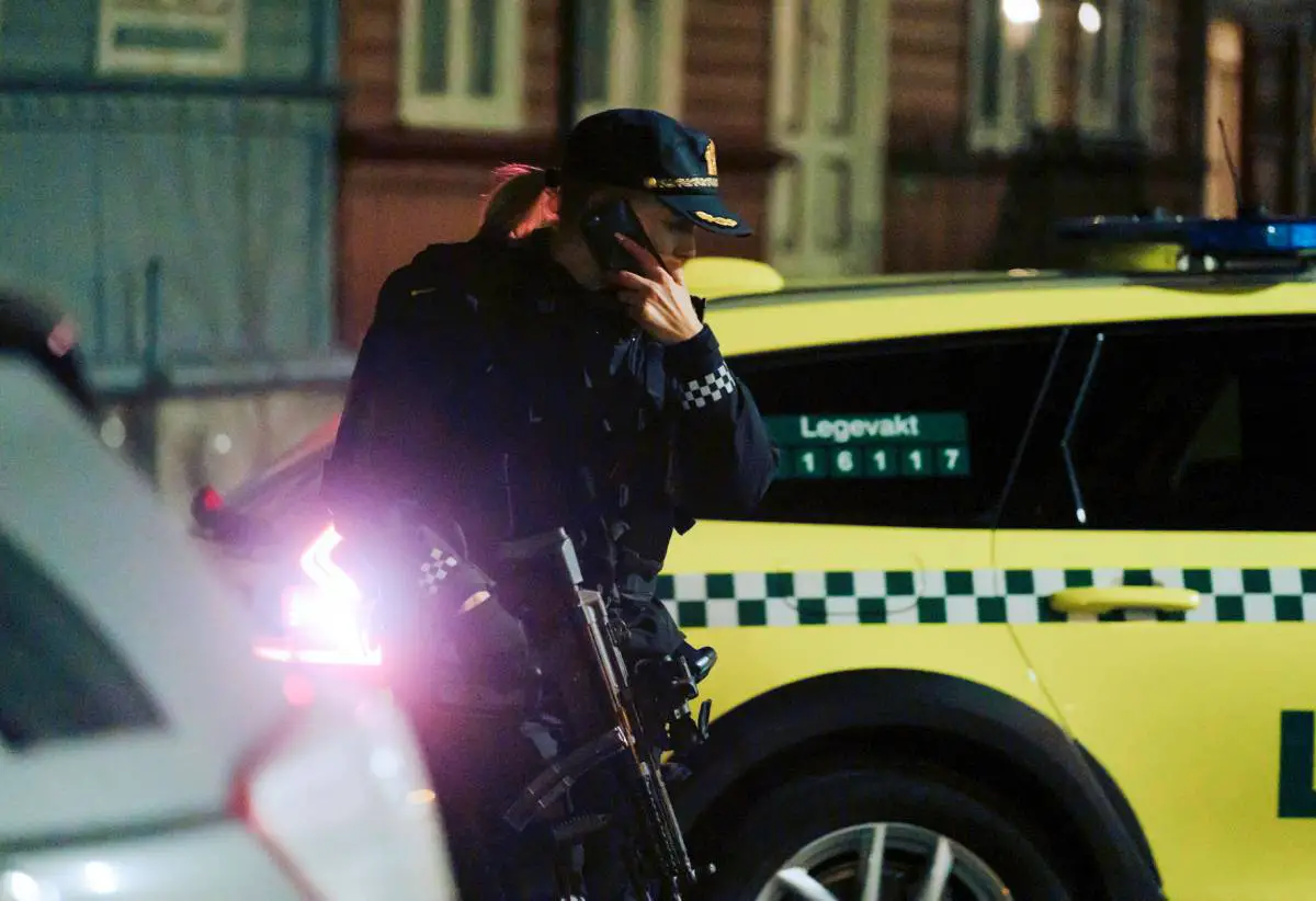 Oslo: Une personne transportée à l'hôpital après un incident au couteau à Vettakollen - 3