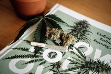 Un élève norvégien sur cinq du secondaire supérieur a consommé du cannabis, selon une nouvelle enquête - 18