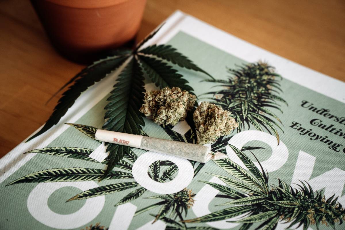Un élève norvégien sur cinq du secondaire supérieur a consommé du cannabis, selon une nouvelle enquête 4 Un élève norvégien sur cinq du secondaire supérieur a consommé du cannabis, selon une nouvelle enquête - 3