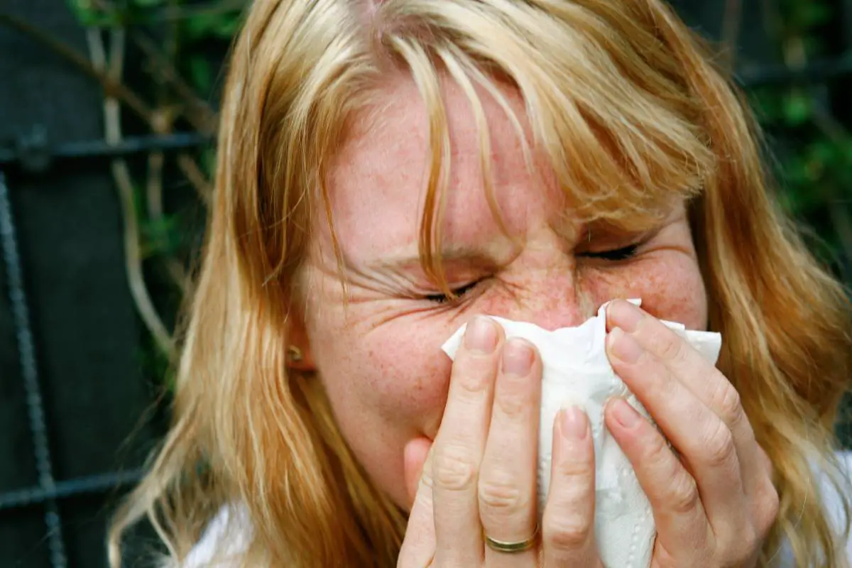FHI : Il y a encore très peu de grippe en Norvège - 3