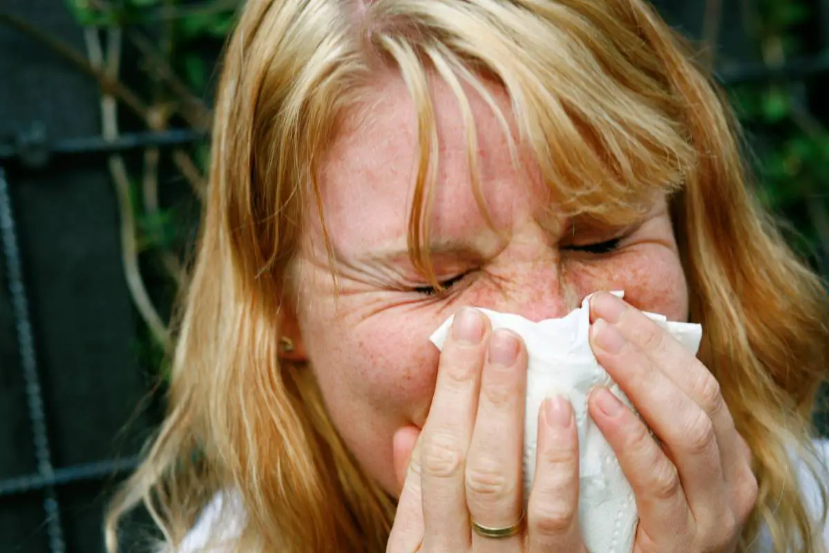 FHI : Il y a encore très peu de grippe en Norvège 4 FHI : Il y a encore très peu de grippe en Norvège - 3