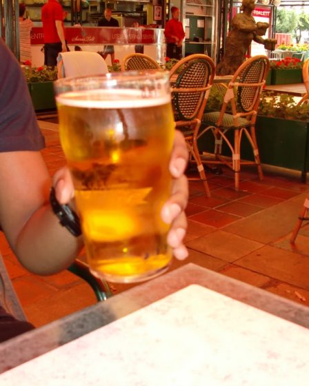 Ventes de vins et alcopops en hausse, bières et spiritueux en baisse - 19