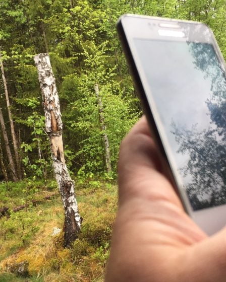 L'utilisation des données mobiles vers de nouveaux sommets 2 L'utilisation des données mobiles vers de nouveaux sommets - 1