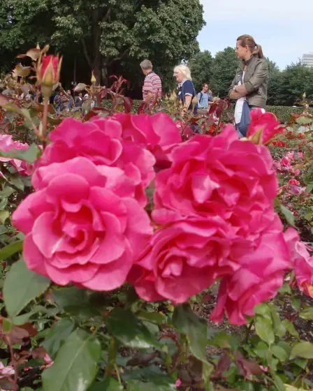 Innovation Norway se concentre sur les entrepreneurs verts 29 Innovation Norway se concentre sur les entrepreneurs verts - 28