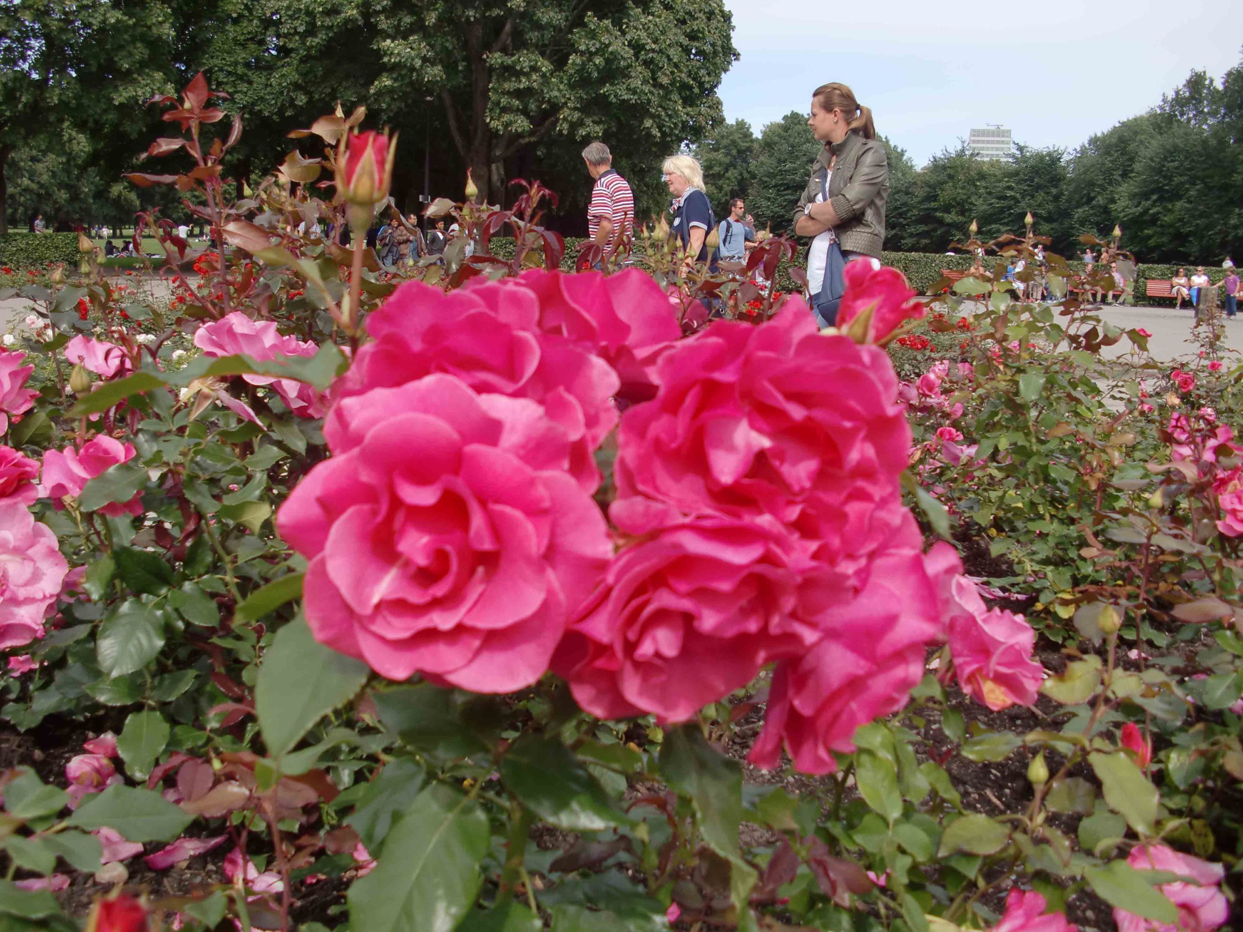 Innovation Norway se concentre sur les entrepreneurs verts 4 Innovation Norway se concentre sur les entrepreneurs verts - 3