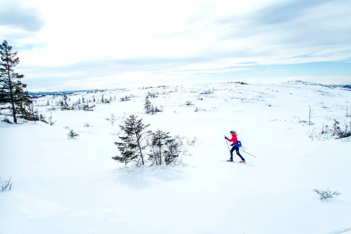 Météo changeante pour caractériser le reste de la semaine en Norvège 4 Météo changeante pour caractériser le reste de la semaine en Norvège - 3