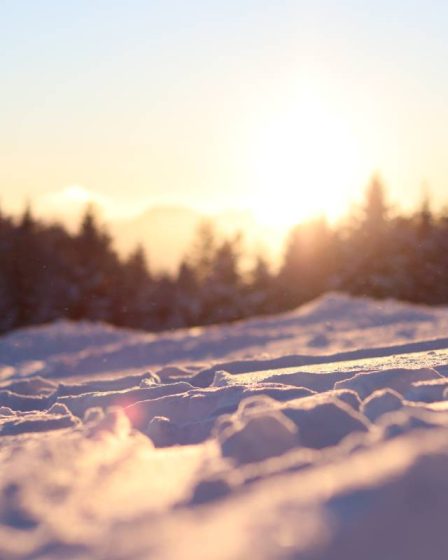 Un citoyen norvégien meurt dans une avalanche en Autriche - 27