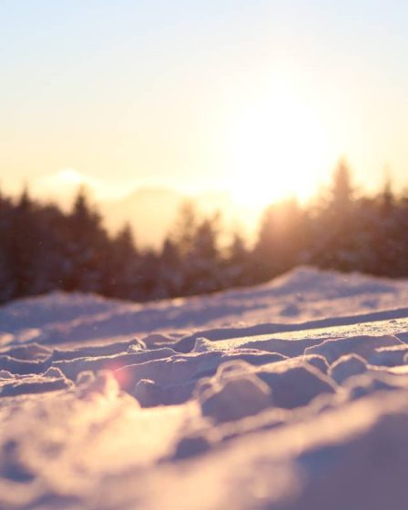 Un citoyen norvégien meurt dans une avalanche en Autriche - 30