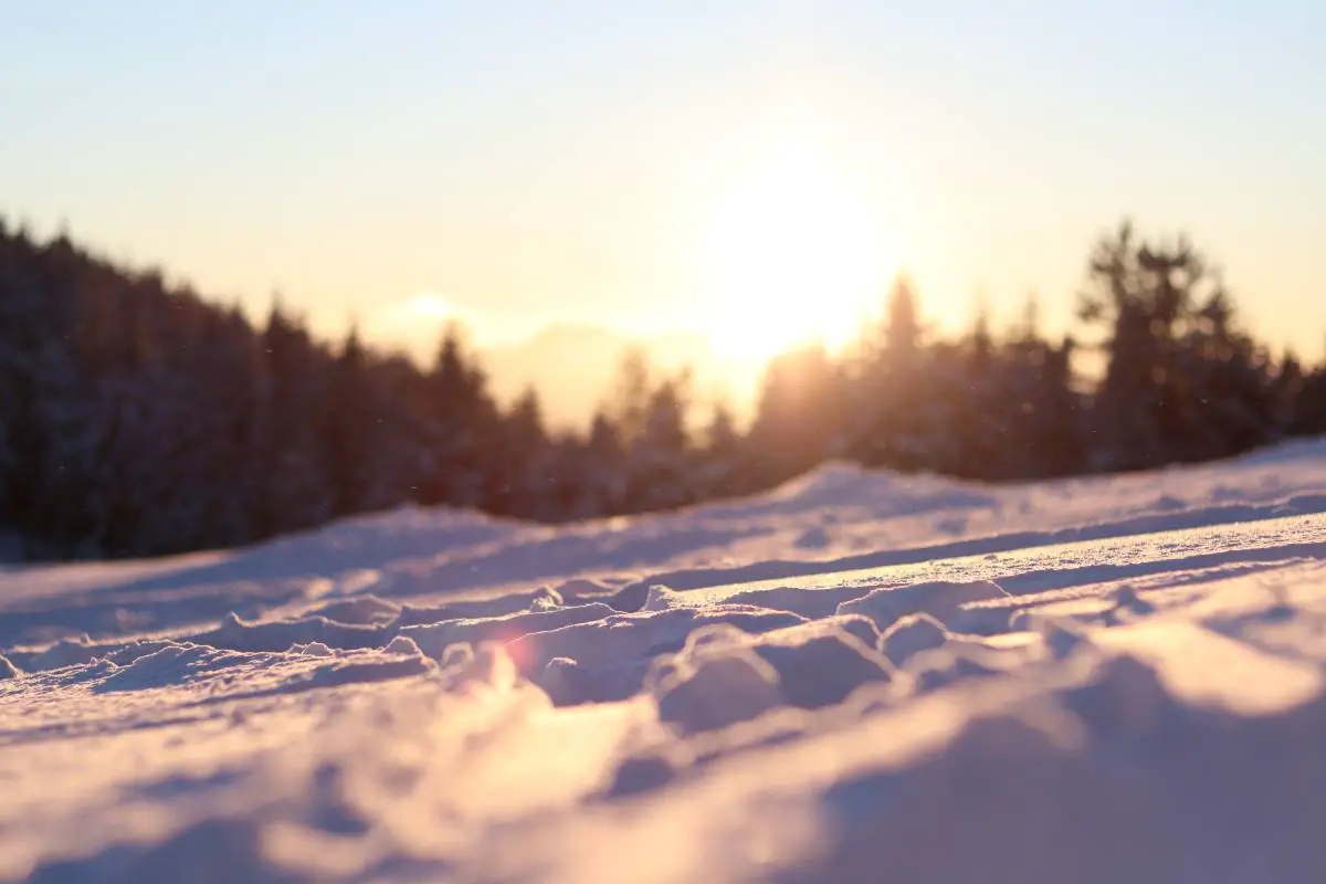 Un citoyen norvégien meurt dans une avalanche en Autriche - 3