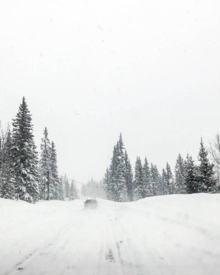 Avertissement de danger : jusqu'à 25 centimètres de neige attendus dans l'est de la Norvège 23 Avertissement de danger : jusqu'à 25 centimètres de neige attendus dans l'est de la Norvège - 22