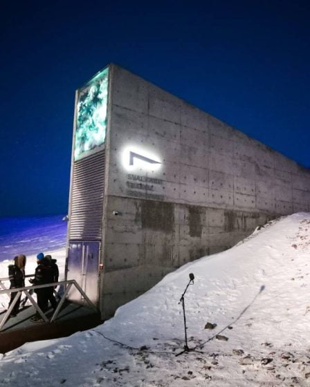 22 000 nouveaux échantillons seront ajoutés au Svalbard Global Seed Vault 23 22 000 nouveaux échantillons seront ajoutés au Svalbard Global Seed Vault - 22