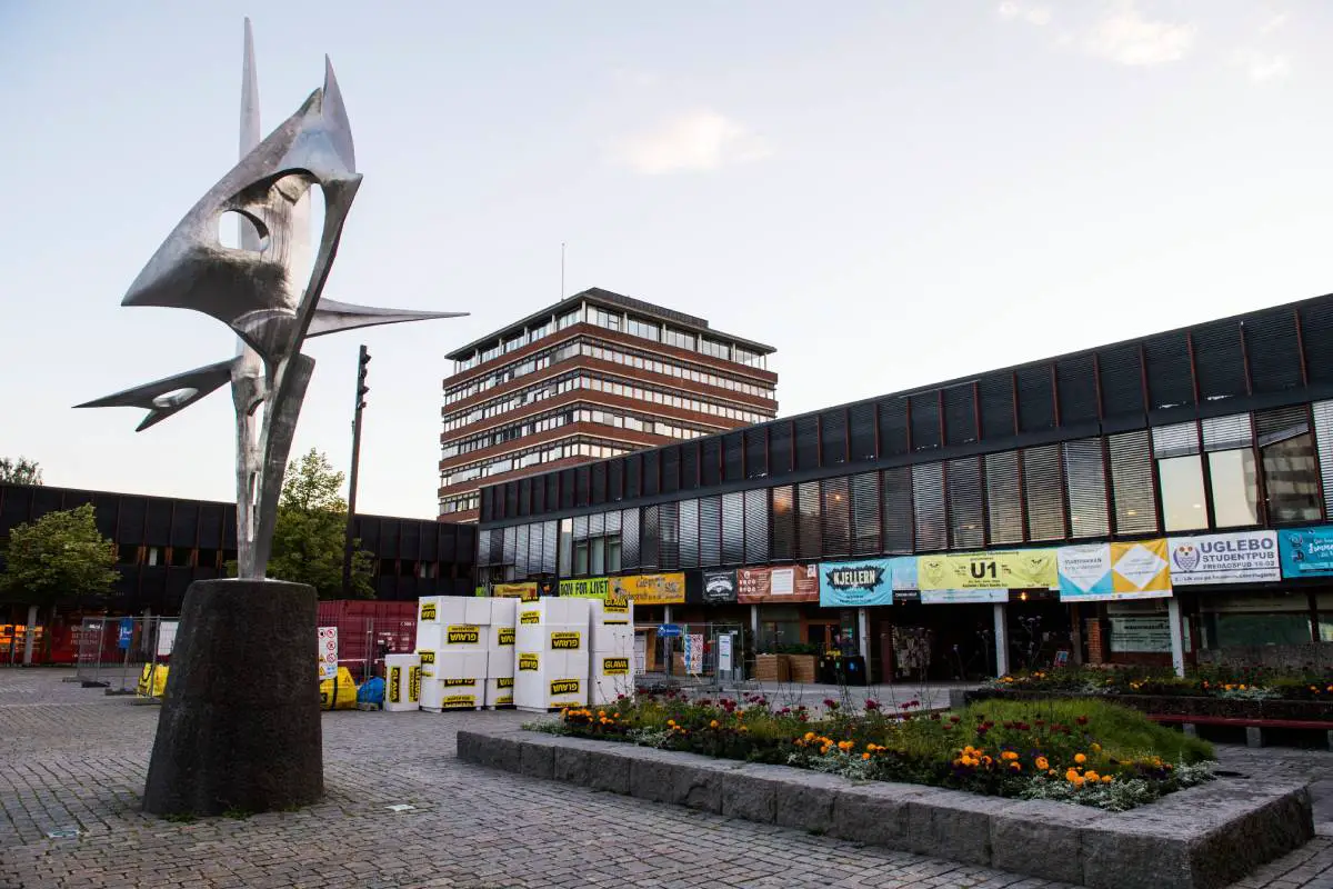 La Norvège pourrait voir un nouveau record de doctorats obtenus en 2021 4 La Norvège pourrait voir un nouveau record de doctorats obtenus en 2021 - 3