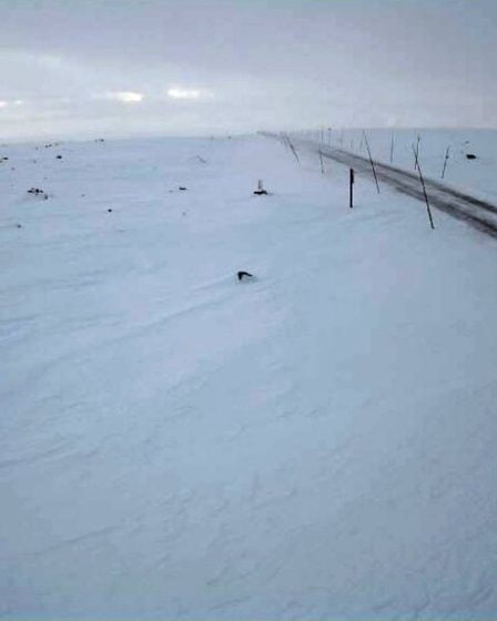Plusieurs cols de montagne du sud de la Norvège sont fermés en raison du mauvais temps 8 Plusieurs cols de montagne du sud de la Norvège sont fermés en raison du mauvais temps - 7