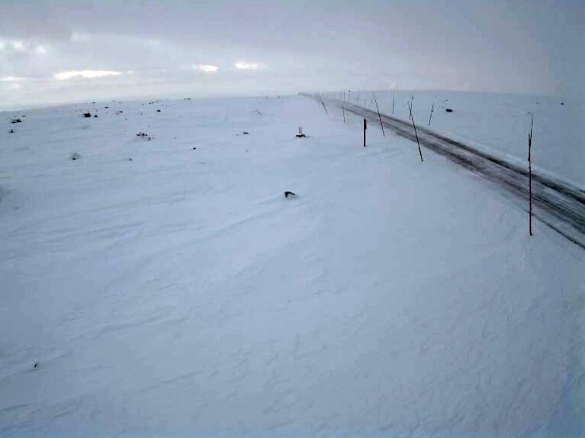 Plusieurs cols de montagne du sud de la Norvège sont fermés en raison du mauvais temps 4 Plusieurs cols de montagne du sud de la Norvège sont fermés en raison du mauvais temps - 3
