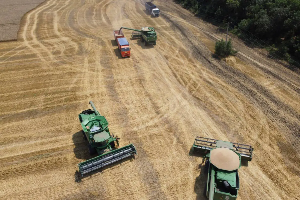 Les prix du blé s'envolent alors que la Russie attaque l'Ukraine - 3