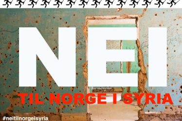 Manifestation contre la Norvège en Syrie - 18