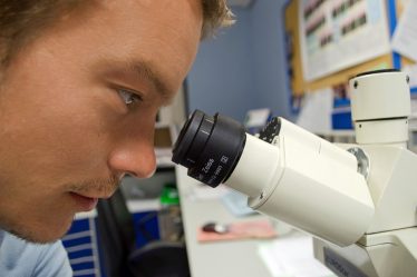 Les finalistes du Young Scientist ont été choisis - 18