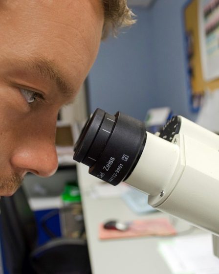 Les finalistes du Young Scientist ont été choisis 20 Les finalistes du Young Scientist ont été choisis - 19