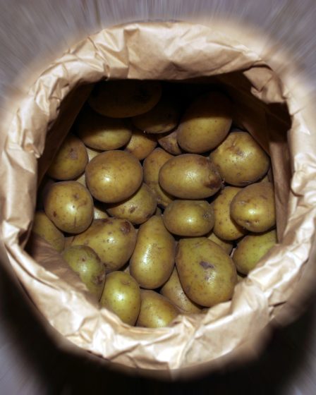 La NASA veut cultiver des pommes de terre sur Mars 5 La NASA veut cultiver des pommes de terre sur Mars - 4