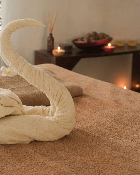 20 expulsés après une inspection majeure de l'industrie du massage 8 20 expulsés après une inspection majeure de l'industrie du massage - 7