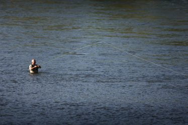 Douze rivières ouvertes à la pêche au saumon - 16