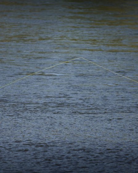 Douze rivières ouvertes à la pêche au saumon 20 Douze rivières ouvertes à la pêche au saumon - 19