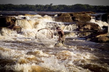 Le Congo coupera plus de forêt tropicale malgré le soutien norvégien pour la protection de la forêt tropicale - 16