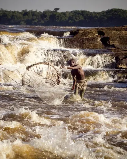 Le Congo coupera plus de forêt tropicale malgré le soutien norvégien pour la protection de la forêt tropicale 26 Le Congo coupera plus de forêt tropicale malgré le soutien norvégien pour la protection de la forêt tropicale - 25