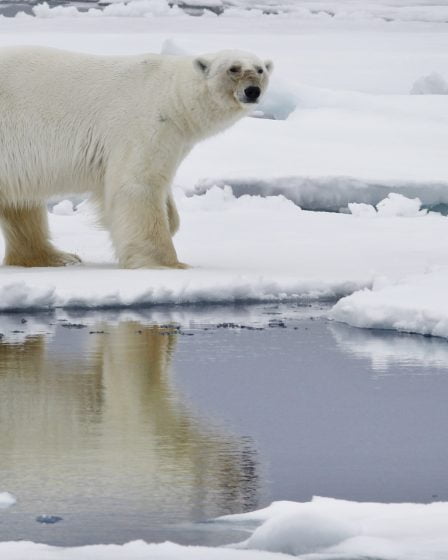 Un air plus pur en Europe rend l'Arctique plus chaud - 13