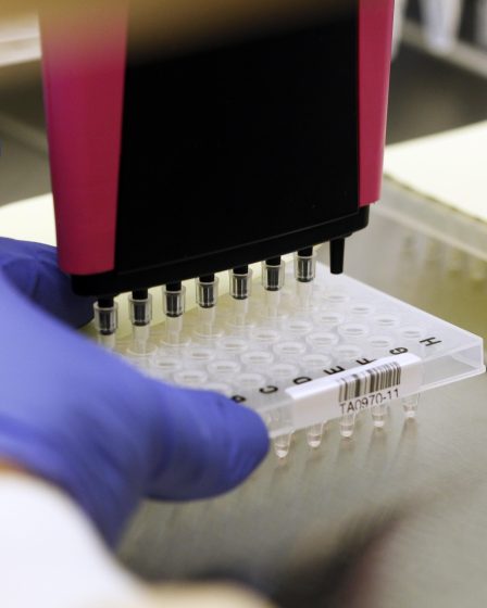 Des profils ADN toujours stockés illégalement après six ans 20 Des profils ADN toujours stockés illégalement après six ans - 19