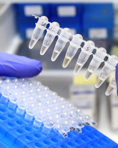 Le courrier de la fin du samedi affecte la livraison des échantillons et les résultats des tests pour les patients - 4