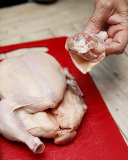 Le ministre de l'Agriculture et de l'Alimentation lance un nouveau plan antibiotiques 26 Le ministre de l'Agriculture et de l'Alimentation lance un nouveau plan antibiotiques - 25