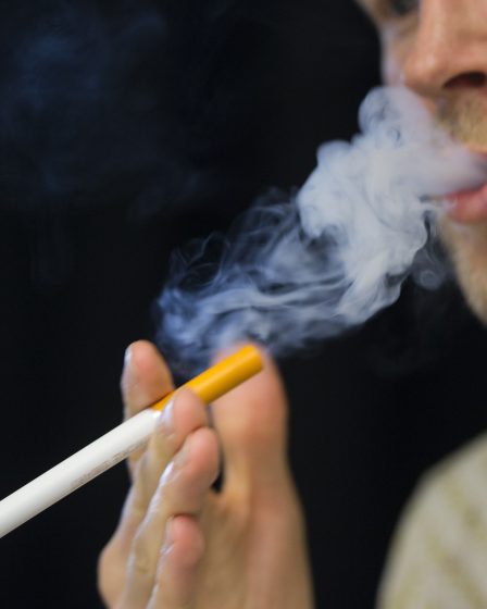 Le gouvernement ouvre la vente de cigarettes électroniques - 1