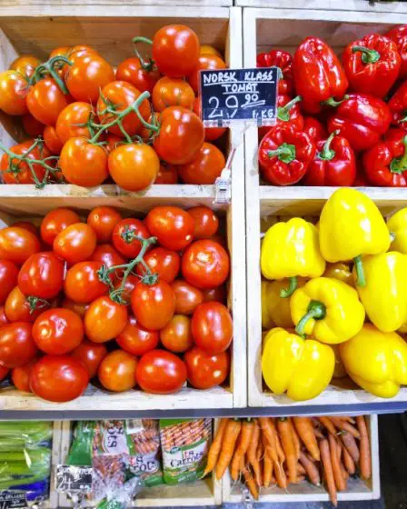 Faits sur le " La joie du repas - sain pour tout le monde" 5 Faits sur le " La joie du repas - sain pour tout le monde" - 4