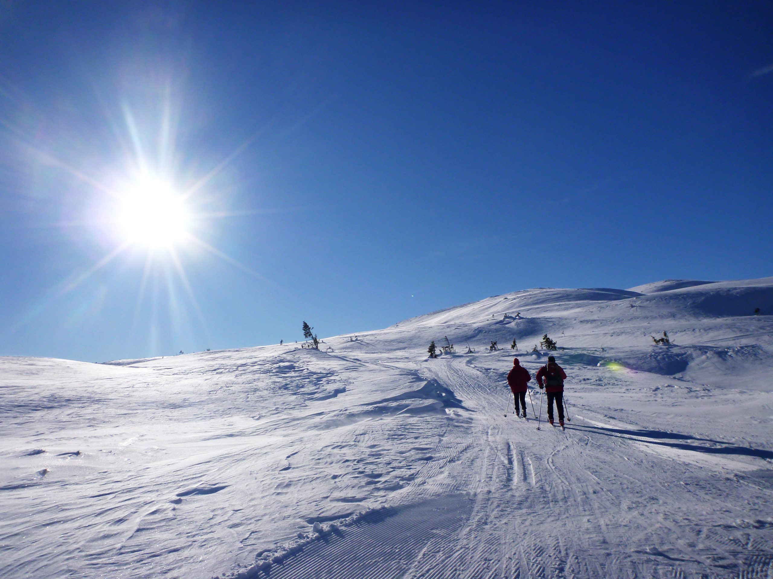 Beau temps pour la fin des vacances d'hiver dans le sud de la Norvège 4 Beau temps pour la fin des vacances d'hiver dans le sud de la Norvège - 3