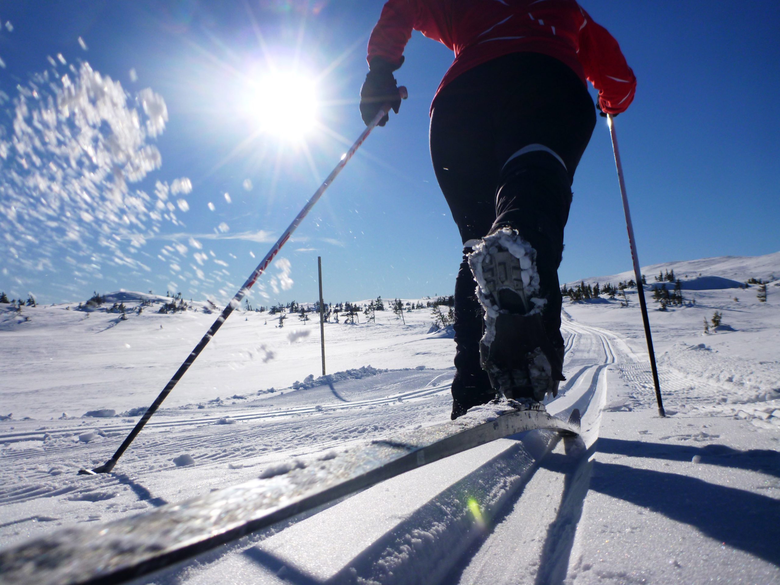 Les hivers sans neige défient à la fois le caractère national et l'économie - 3