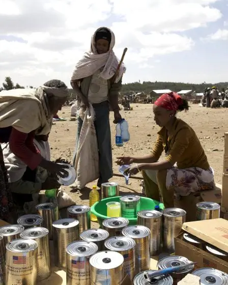 Les Éthiopiens désespérément frappés par la sécheresse ont besoin de nouvelles semences 12 Les Éthiopiens désespérément frappés par la sécheresse ont besoin de nouvelles semences - 11