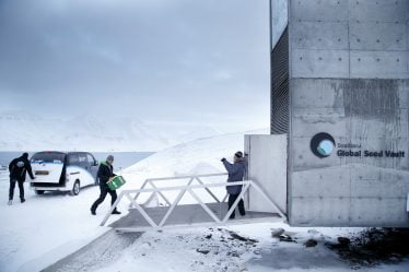 De nouvelles graines en place à Svalbard - 18