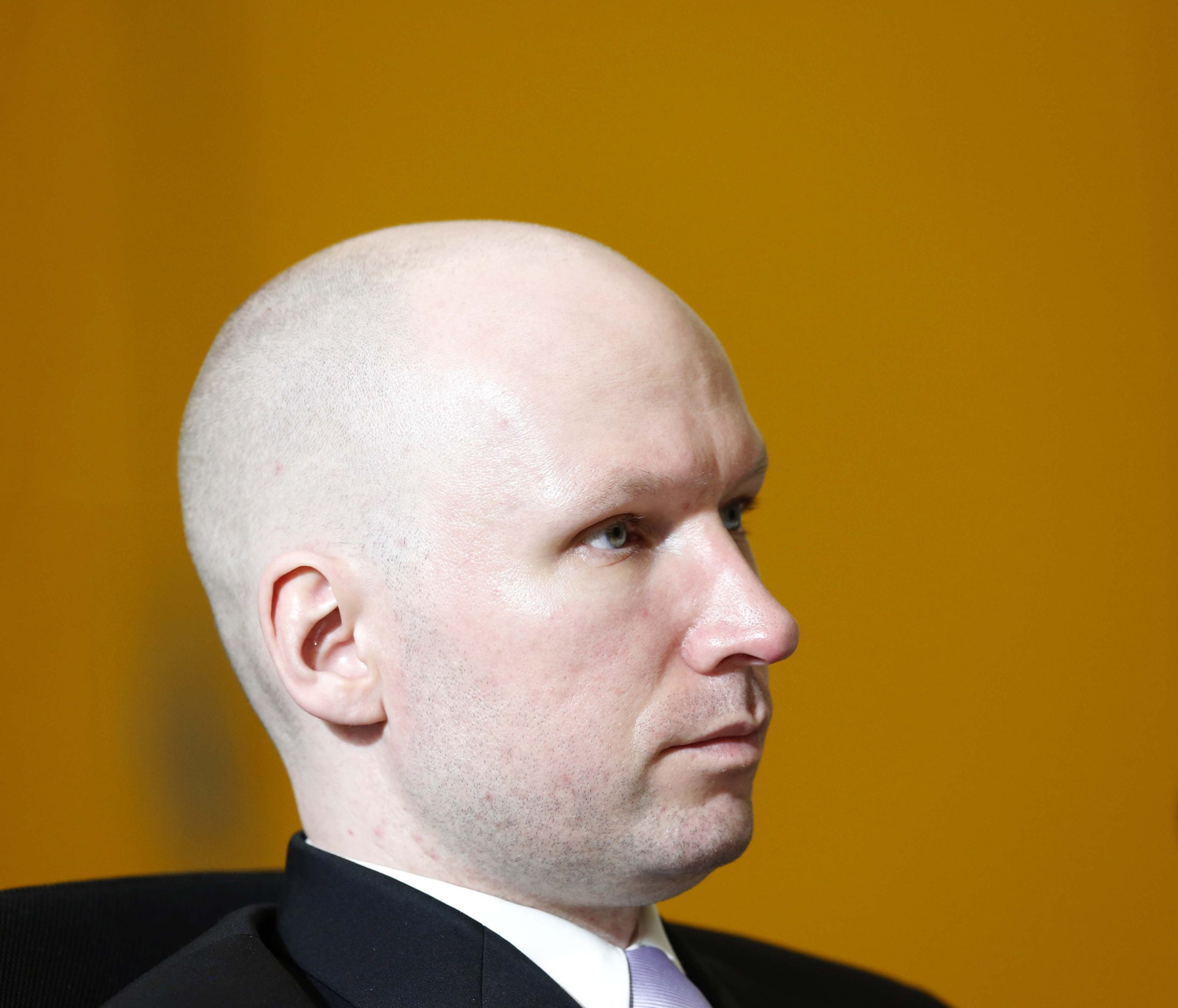 L'arrêt Breivik suscite de vives réactions 4 L'arrêt Breivik suscite de vives réactions - 3