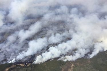Un incendie de forêt cause d'importants dégâts en Alberta - 20