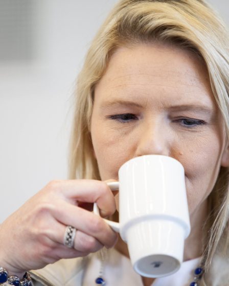 Listhaug récompensera les réfugiés qui apprennent rapidement le norvégien 6 Listhaug récompensera les réfugiés qui apprennent rapidement le norvégien - 5