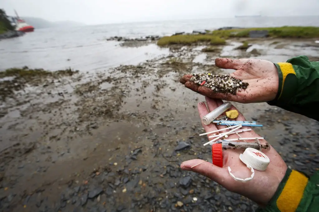 Perles en plastique dangereuses pour les poissons et les oiseaux - 3