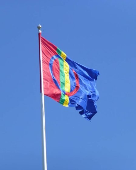 Statistics Norway : moins de personnes vivent dans les zones sâmes 31 Statistics Norway : moins de personnes vivent dans les zones sâmes - 30